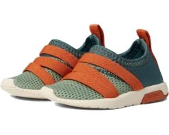 Native Shoes Kids Pheonix Sugarlite (Toddler)